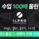 수입 100배+누적 고객사 1000팀+10년 연장 광고주를 만든 대행사 대표의 미친 강의(선착순 마감)