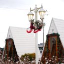 정원 | 청주 토성마을 카페 겨울정원 커피 후기