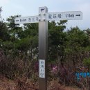 부여(홍산)-04 이미지