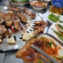 이지비야 이미지