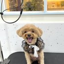 올치유치원 이미지