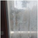 H1400 | 안산유리 교체 백화 창문 깔끔하게 교체 습기 해결