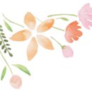 상송호두농원