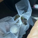 주월동 빅스포 뒤편(푸른길공원) | 진월동 족발 맛집 삶오로지다 족발 포장 후기