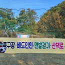 고령스테이포레스트 이미지