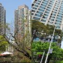 래미안황금공인중개사사무소 이미지