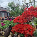 봉비농장 이미지