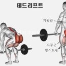 화이트짐산척점