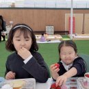 림농장 | [솜솜딸기] 파주 딸기 농장 체험 후기｜아이들과 딸기 따기 + 케이크 만들기