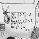 첨단세탁 이미지