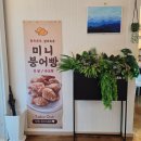 강릉 카페 바바91 솔직후기 | 직접 만드는 티라미수와 바스크치즈케이크