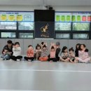 용인대윙스태권도장 이미지