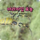 (주)아라케어 이미지