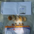 주신농장 이미지