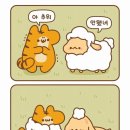인성 이미지
