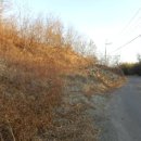 검정보건진료소 이미지