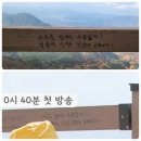 오도산식당 이미지
