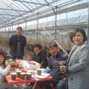 현덕농장 이미지