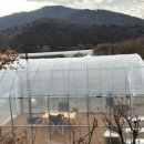 빨간기와집 이미지