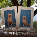 도시 강아지 | 나주혁신도시 강아지 사진관 쑥쑥이 증멍사진 촬영 후기