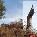 가곡초등학교보발분교장 이미지