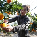 소성농장 이미지