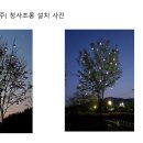 라비코리아 이미지