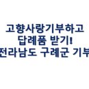 창씨고집 이미지