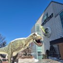 언북중학교 | 서대문자연사박물관 박물관교실 체험 후기