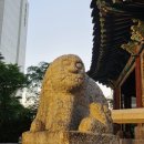라운지1897 | [서울여행] 웨스틴조선 서울 바로 옆 환구단, 알고 보면 더 특별한 곳