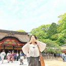 해산 | 후쿠오카 버스 투어 추천! 벳부·다자이후 관광 후 하카타역 해산 편도 투어 후기