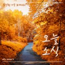 오늘의 소식 24.10.22