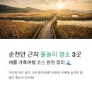 순천만생태펜션 | 순천만 생태공원 근처 물놀이 명소 3곳 | 여름 가족여행 코스 완전 정리