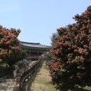 서천(목포) 이미지