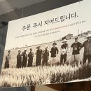 온담 이미지