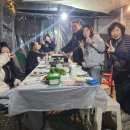 화야산펜션 | 11/8 절정기의 피노포레 단풍[가평펜션]