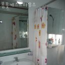 제주게스트하우스봄꽃 이미지