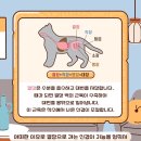 웰 동물병원 이미지