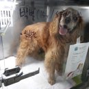 스카이동물병원 이미지