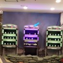 한국스토리뮤지엄 티스토리