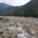 경희남정우한의원 이미지