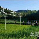 보성2태양광발전소 노컷뉴스