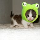 실더 사진 ㅋ 이미지