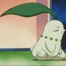 피스트 PC 이미지