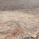 앙성초 영죽분교 이미지