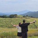 원아목장 | 강원도 2박3일(평창-정선-영월)