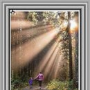 샛별아동심리발달센터 이미지