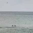 사천바다를품은펜션 이미지