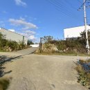 영일식품 이미지