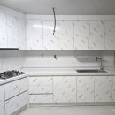 광진 pet 이미지